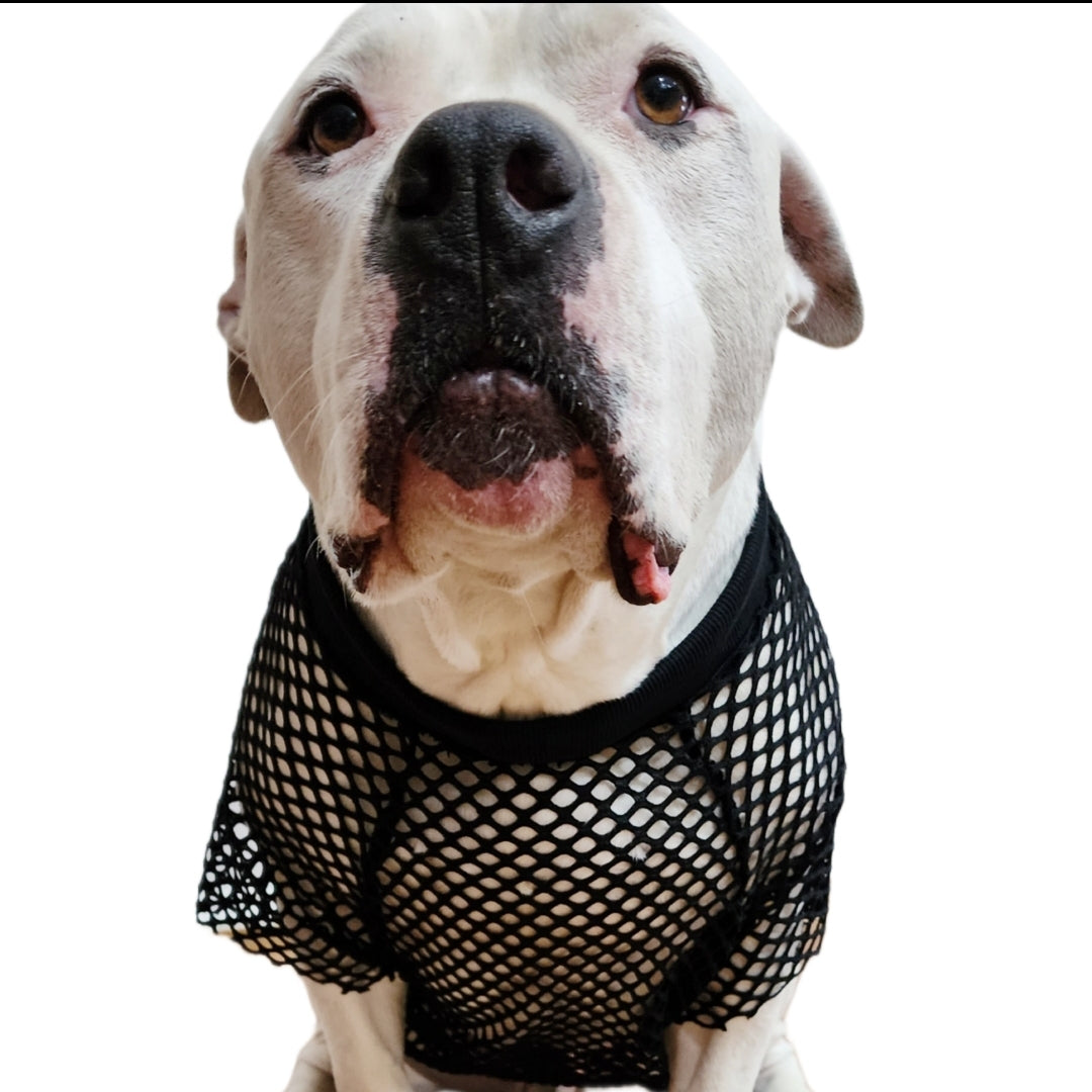 Black Mesh