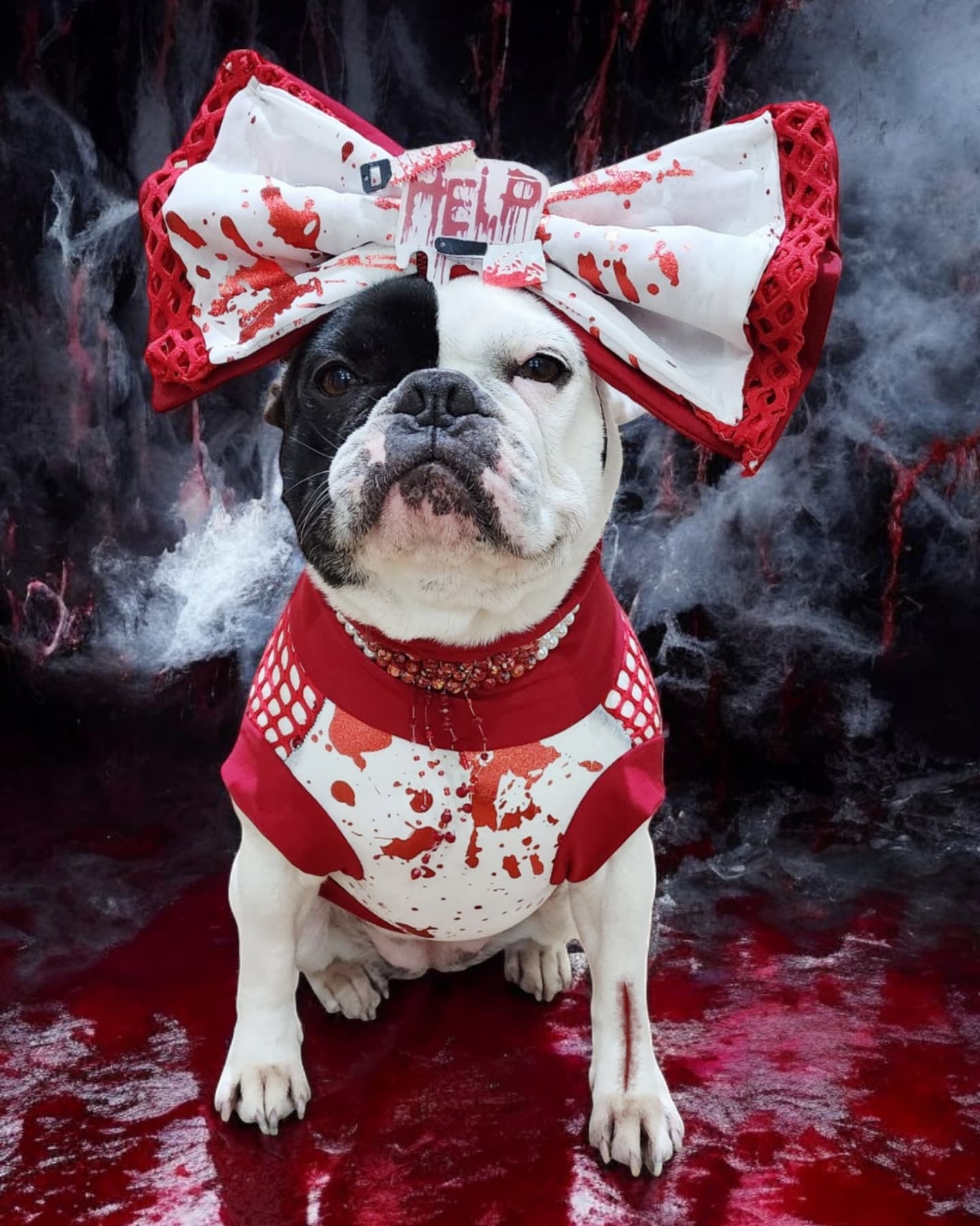 BLOOD SPLAT