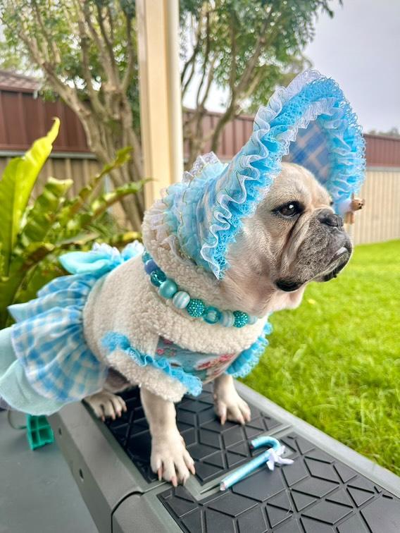 BO PEEP DRESS