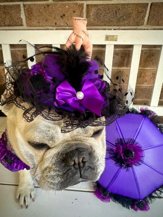 Wednesday Hat 2024