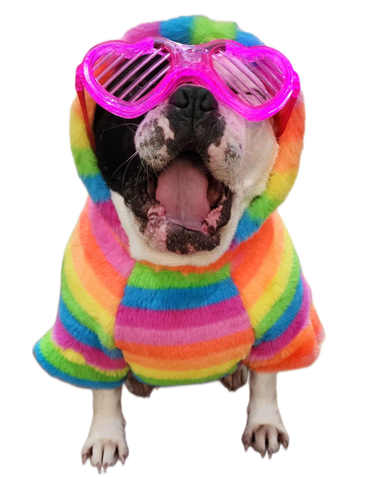 FUZZY RAINBOW HOODIE OR TURTLENECK