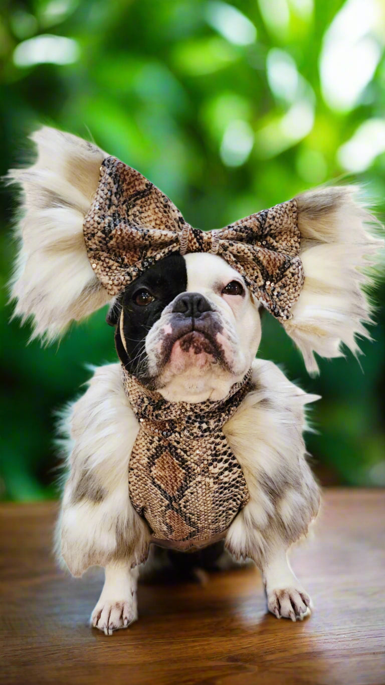 Furboa