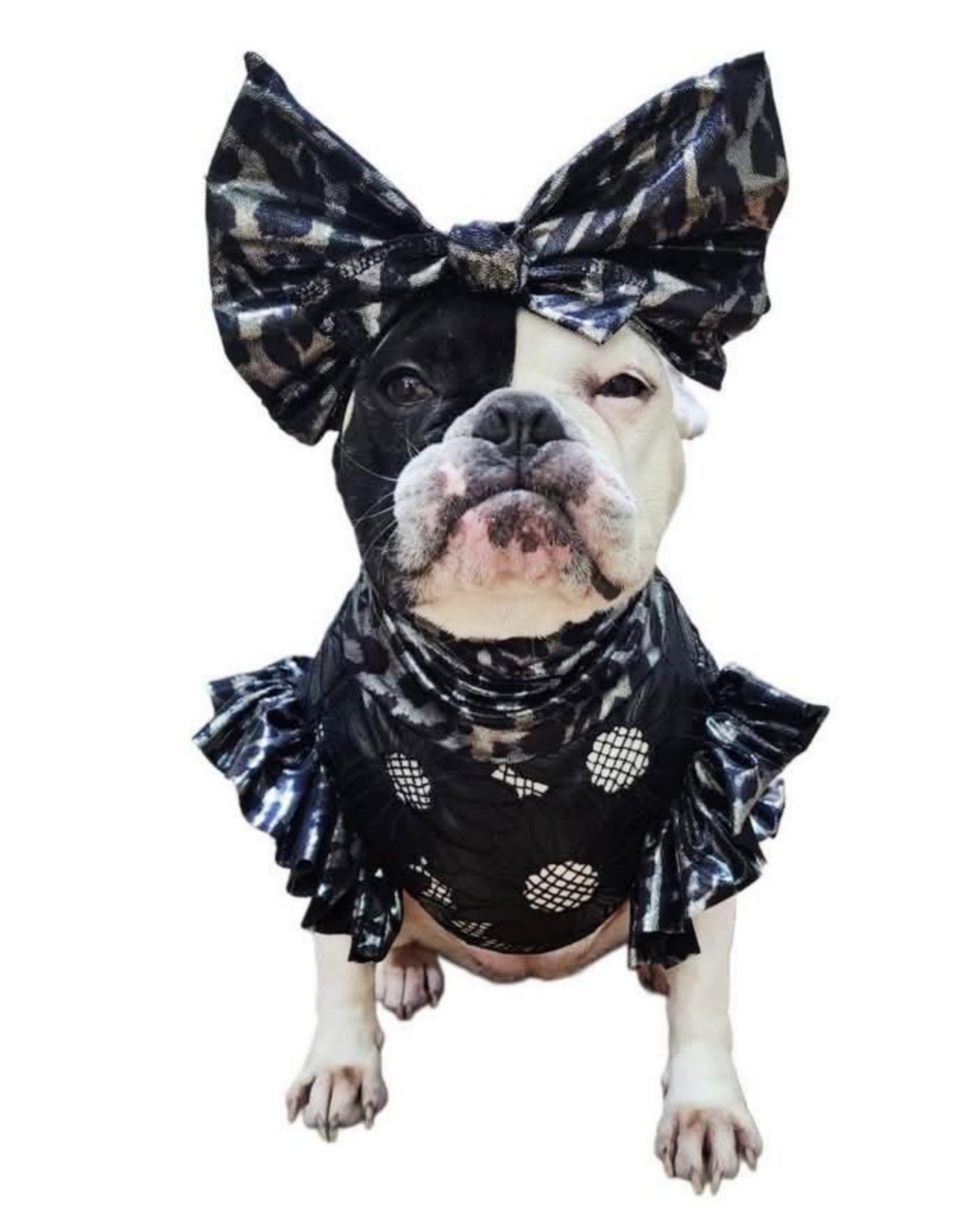 Cattitude Couture, ruffle sleeves