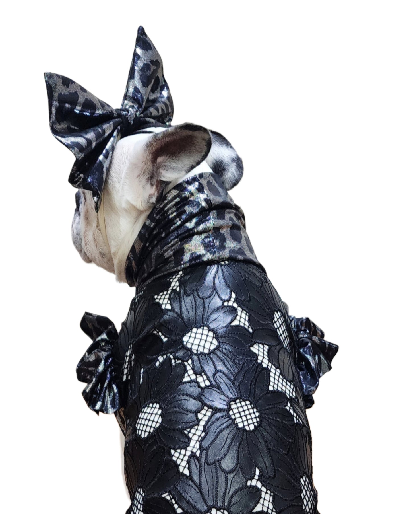Cattitude Couture, ruffle sleeves