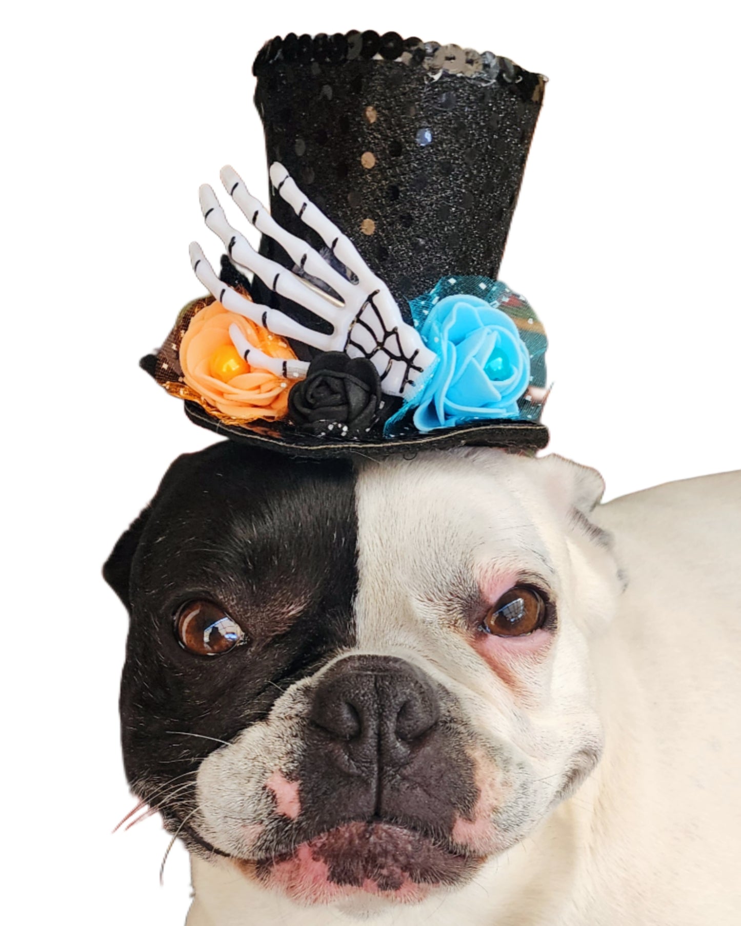 Fiesta de los Muertos Hat