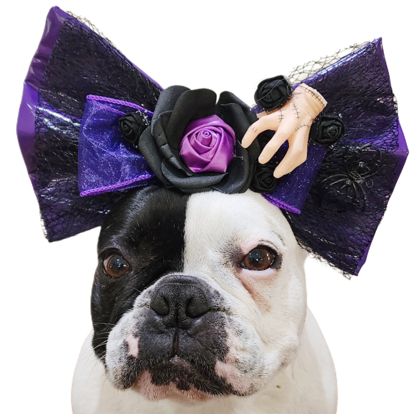 Wednesday Dance Bow