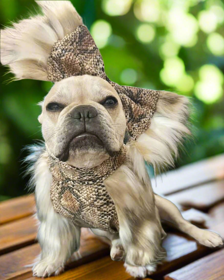 Furboa
