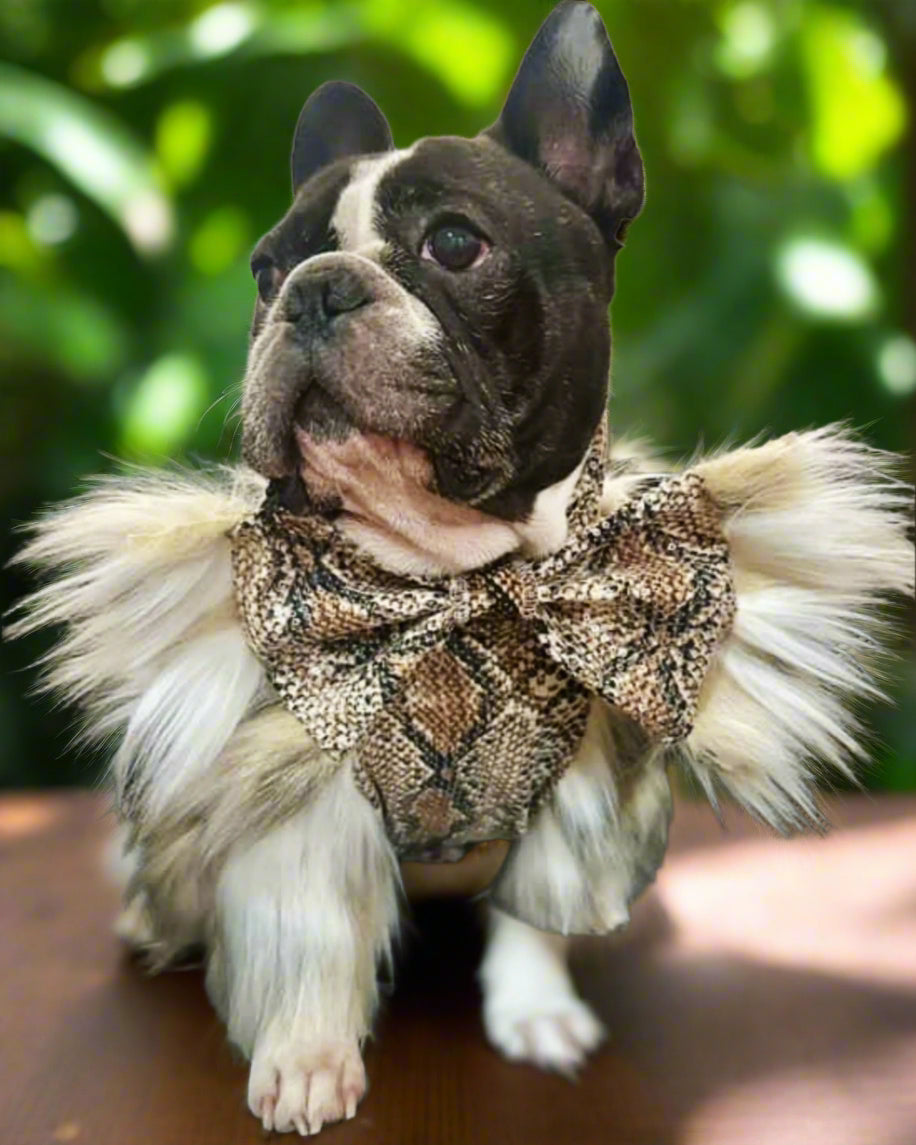 Furboa