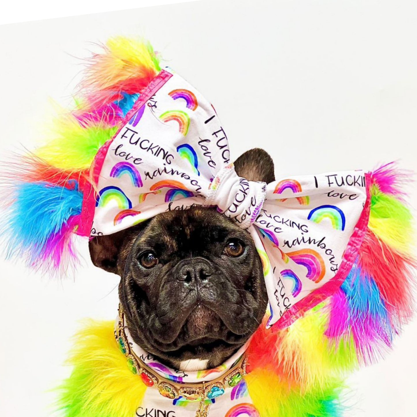 PROFANITY RAINBOWS BOW