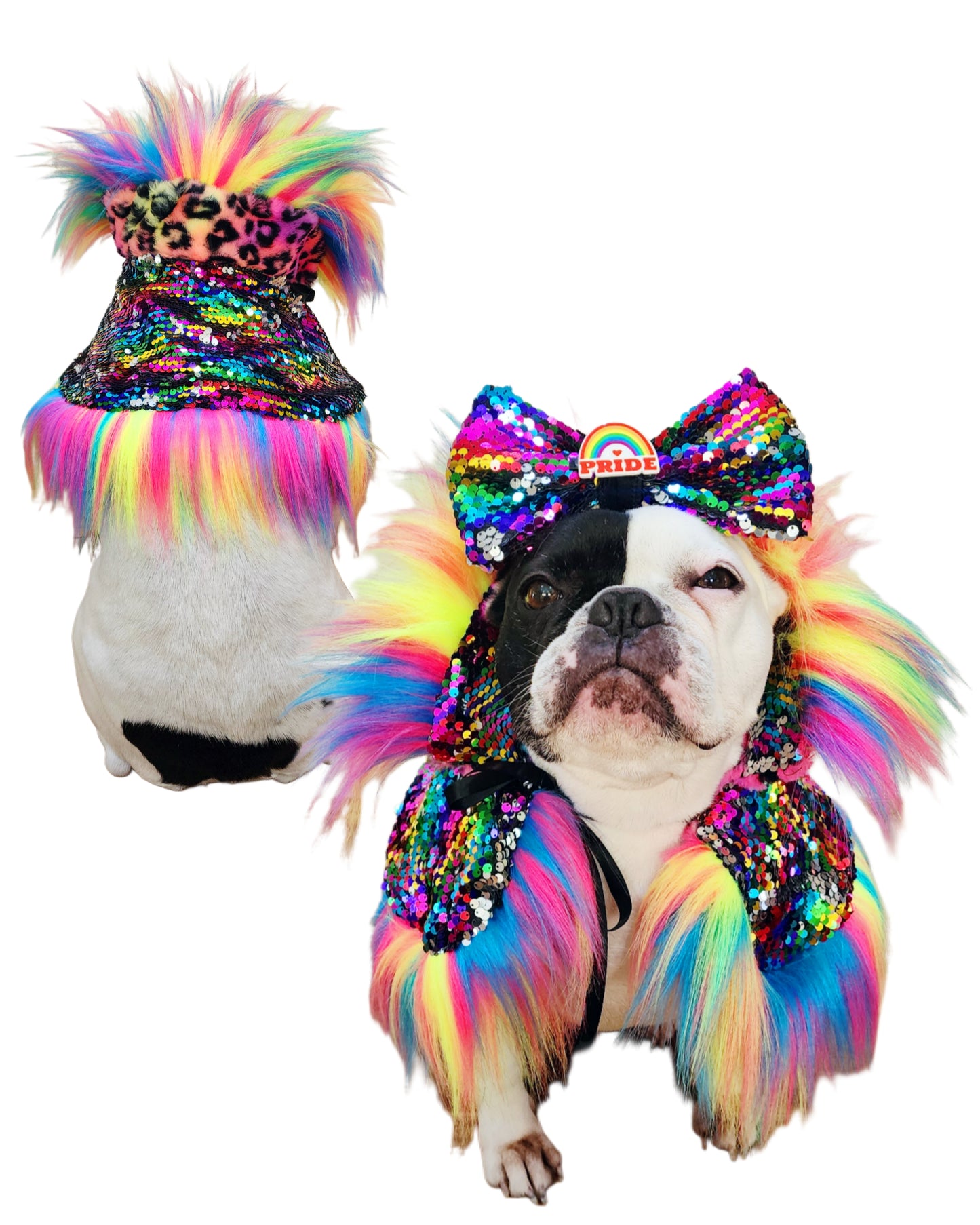 PRIDE ROAR & SHINE REVERSIBLE CAPELET