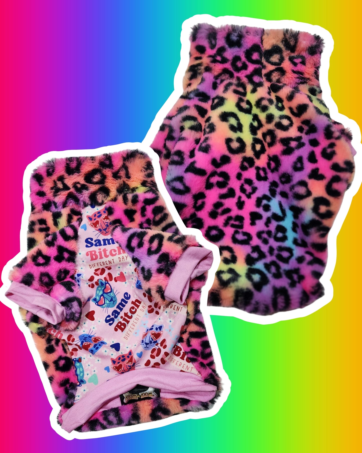 Rainbow SassCat