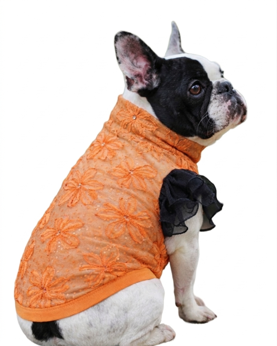 Orange Blossoms Top
