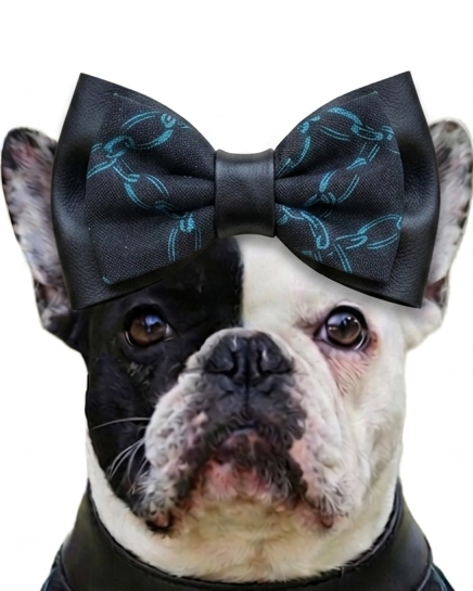 Electric Link Bow