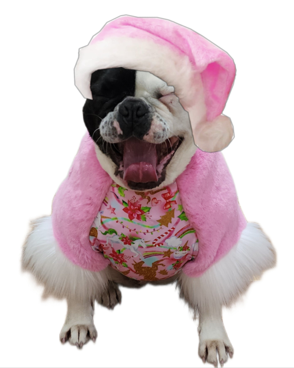 Pink-Mas Sweater