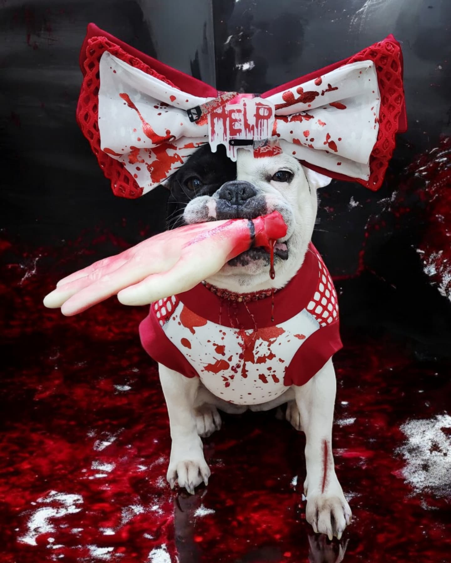 BLOOD SPLAT
