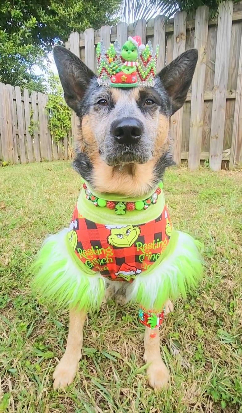 Resting Grinch Face