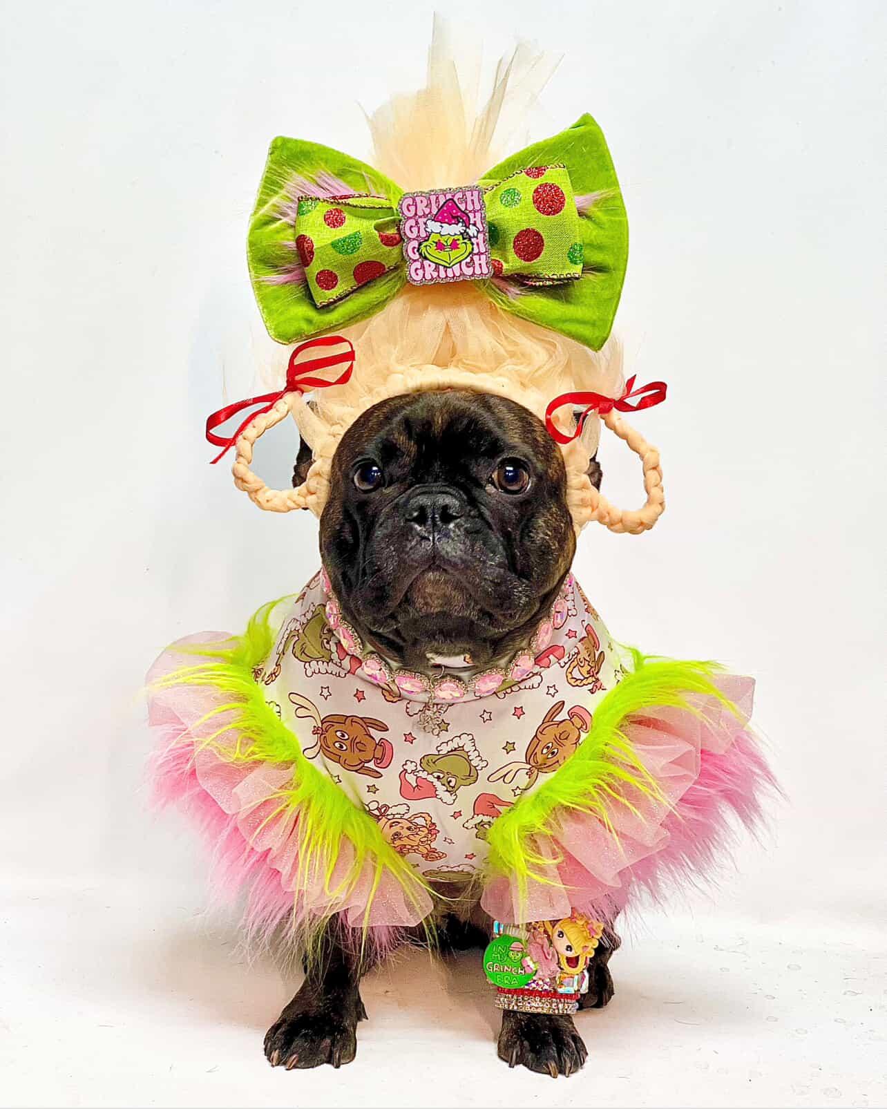 WHOVILLE PINKMAS