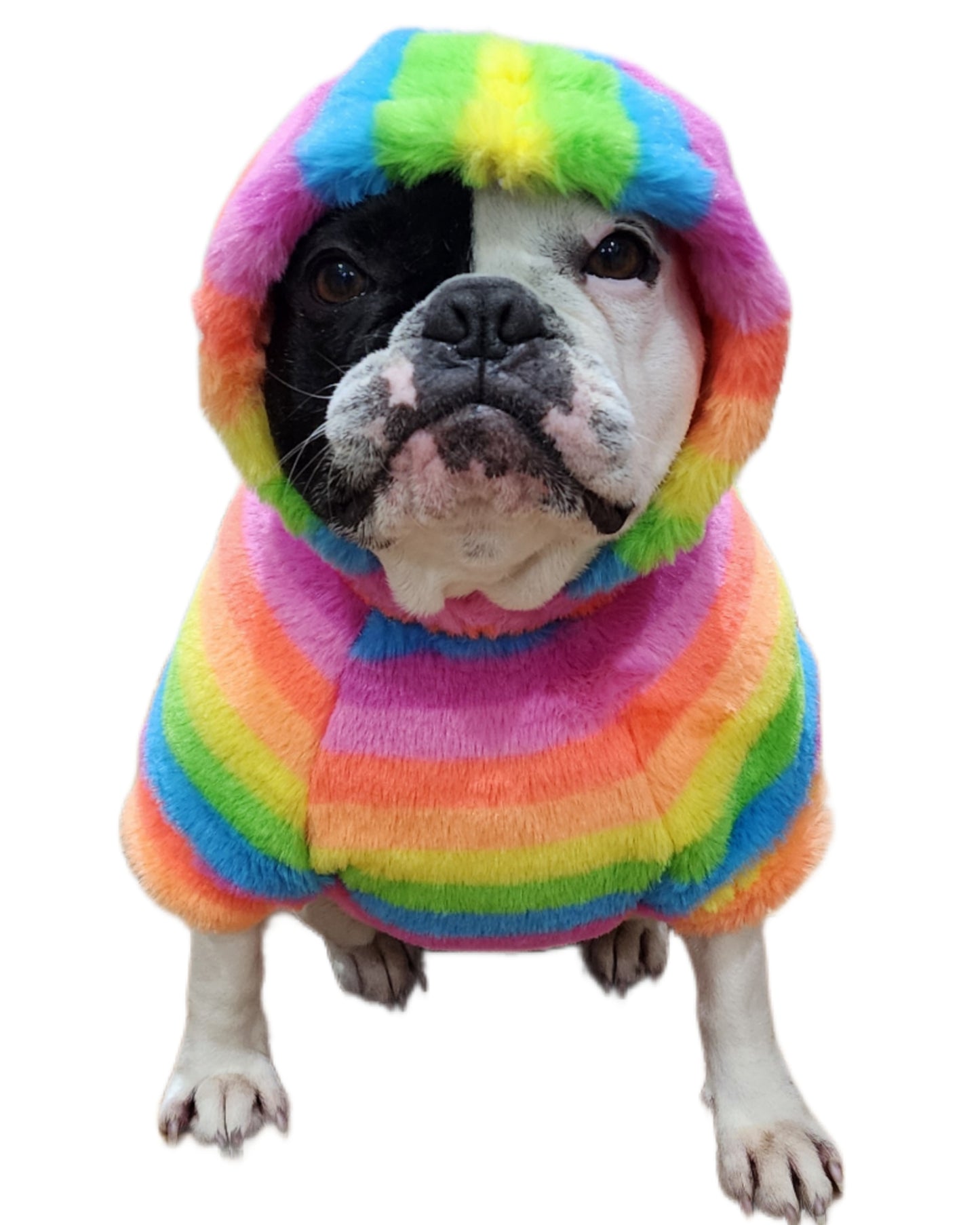 FUZZY RAINBOW HOODIE OR TURTLENECK