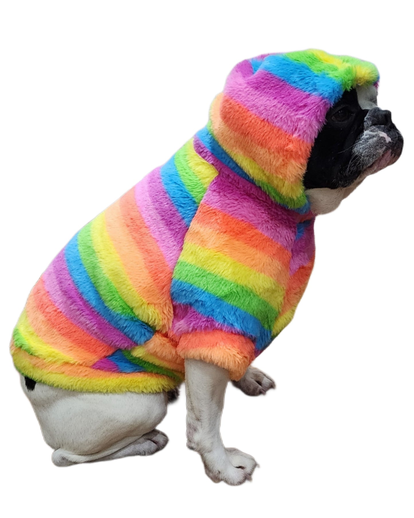 FUZZY RAINBOW HOODIE OR TURTLENECK