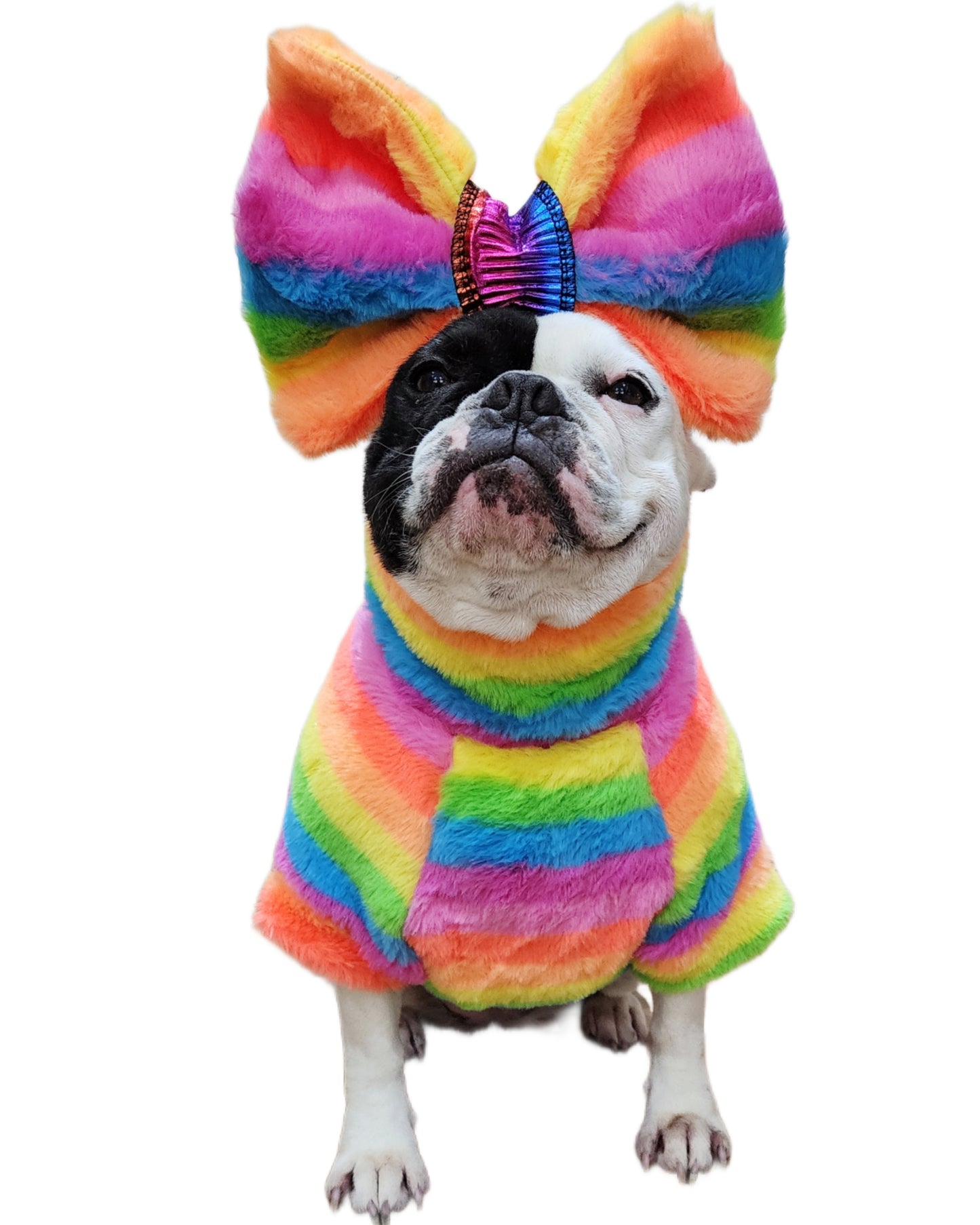 FUZZY RAINBOW HOODIE OR TURTLENECK