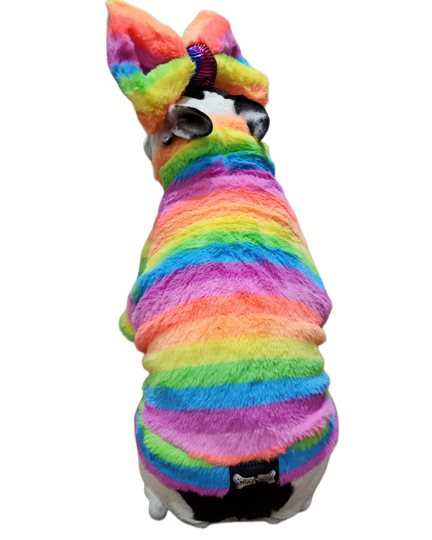 FUZZY RAINBOW HOODIE OR TURTLENECK