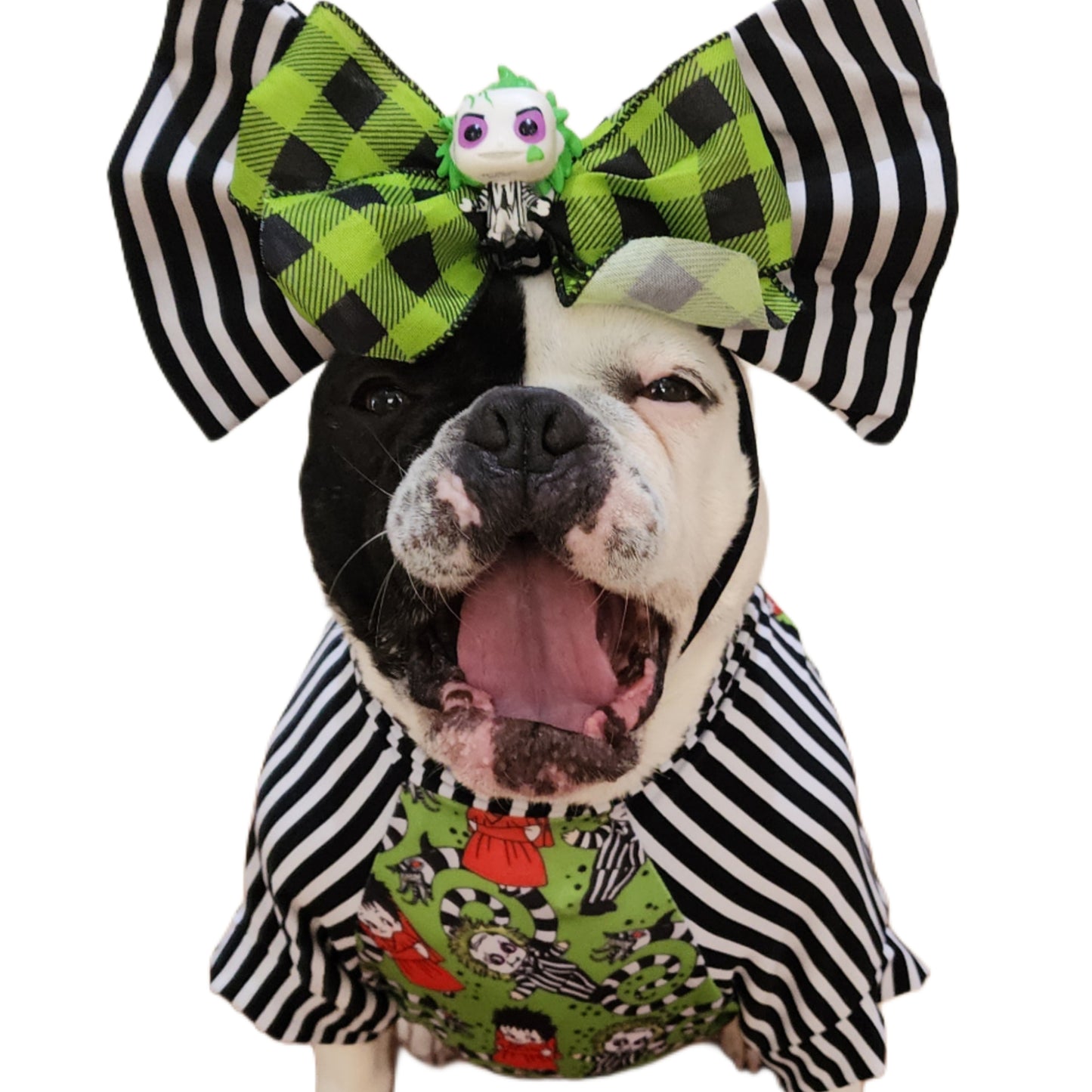 Beetlejuice Bows