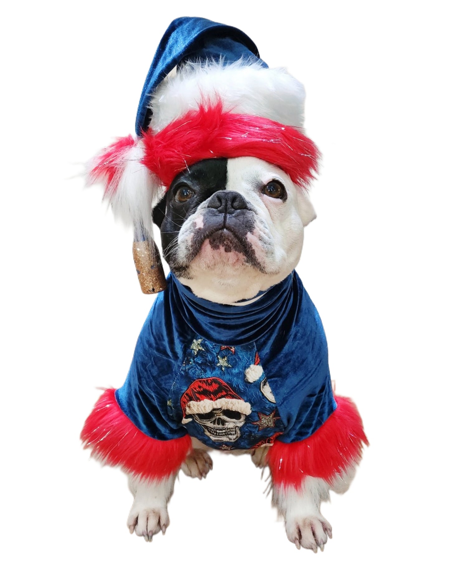 REBEL CLAUS