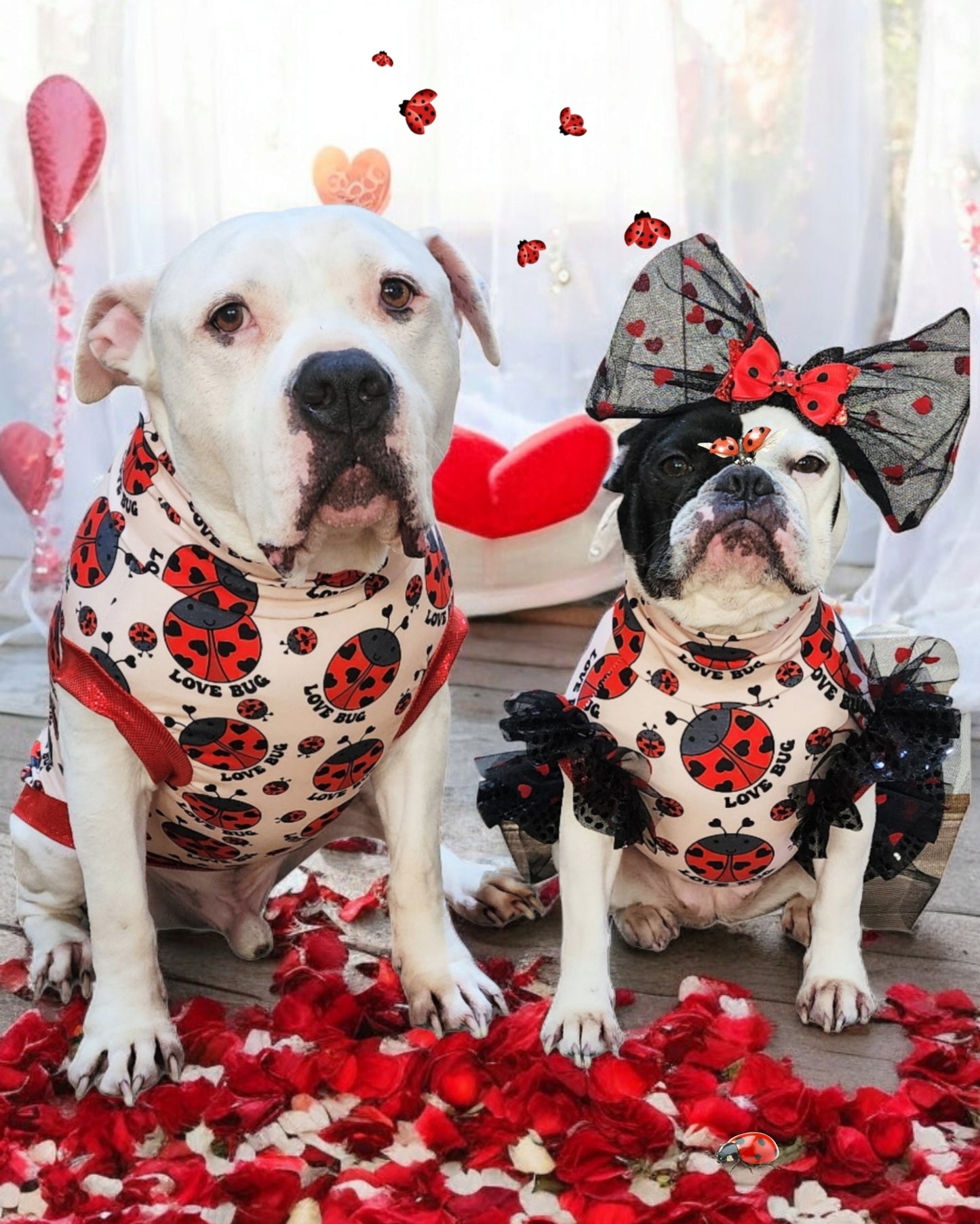 Love Bug Top