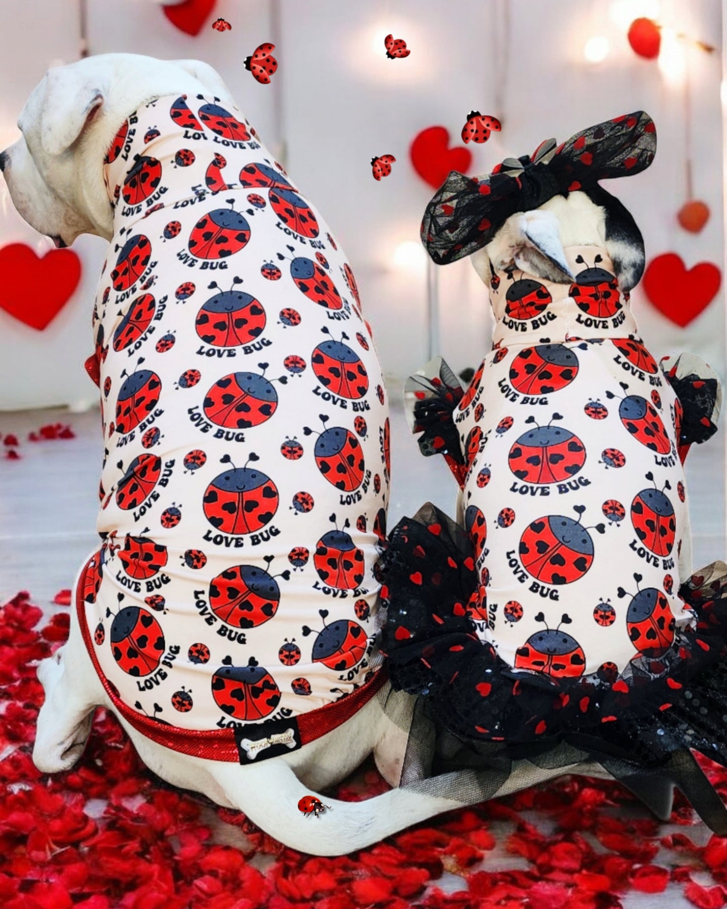 Love Bug Top