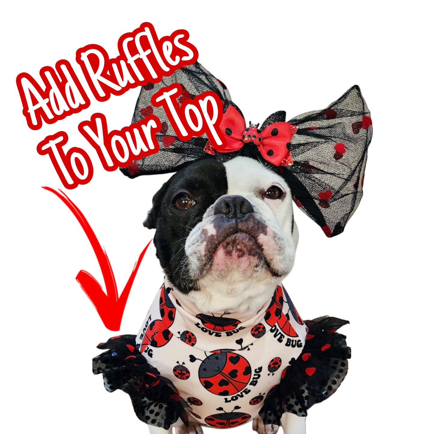 Love Bug Top
