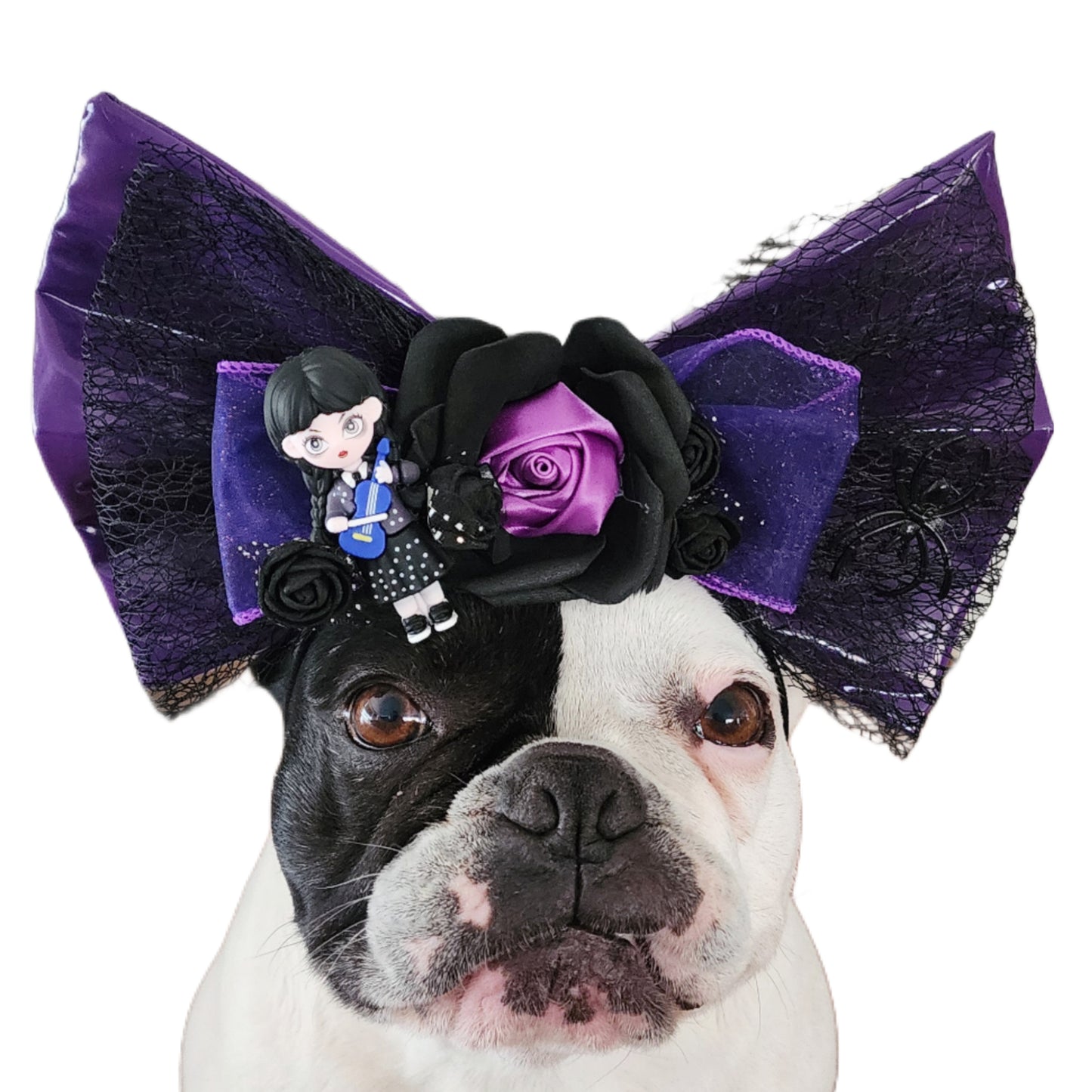 Wednesday  Bow