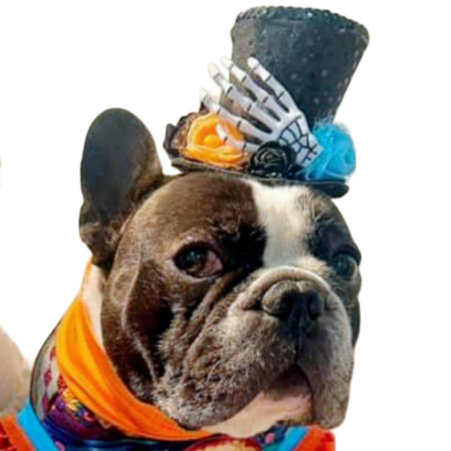 Fiesta de los Muertos Hat
