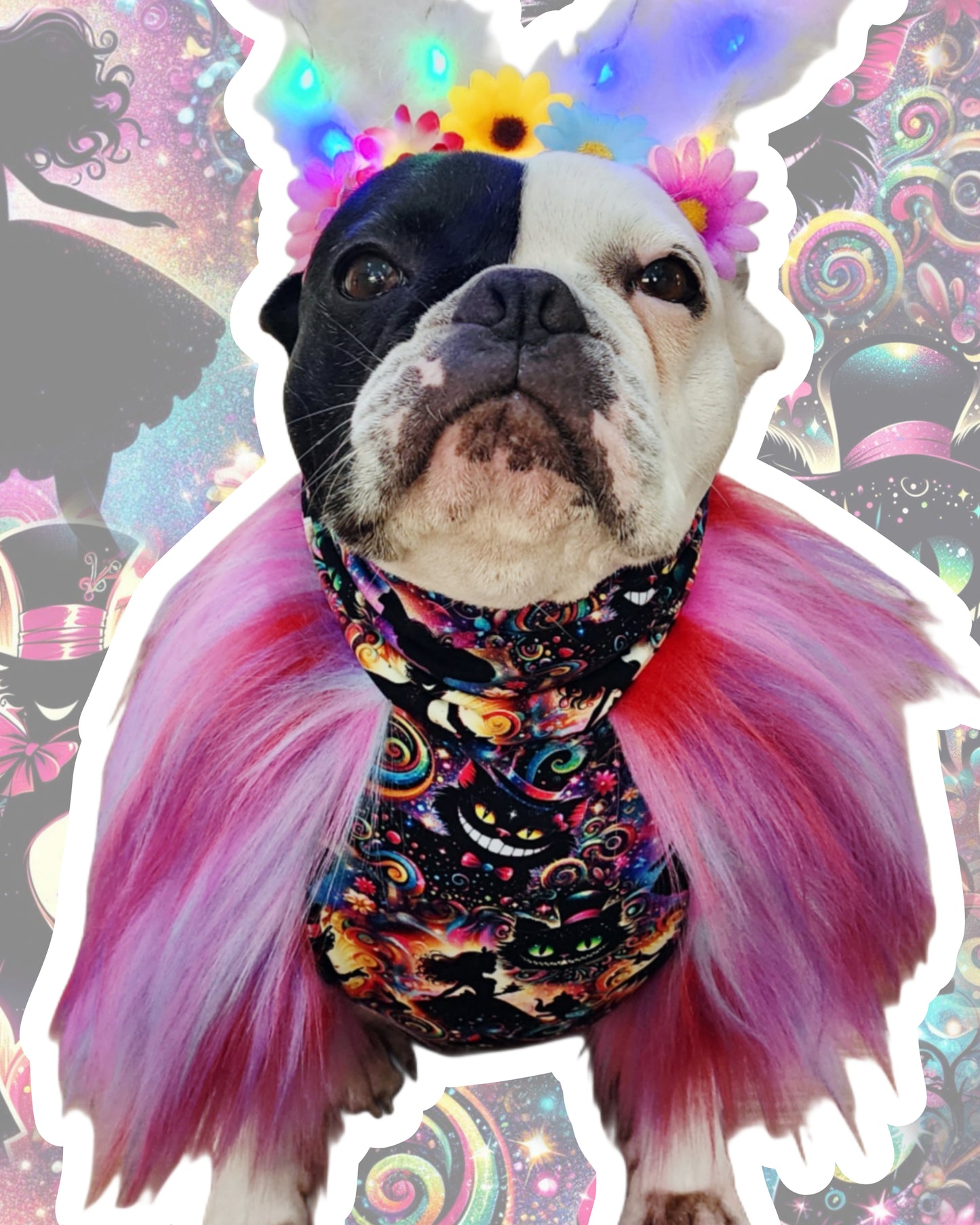 Wonderland Whimsy Top