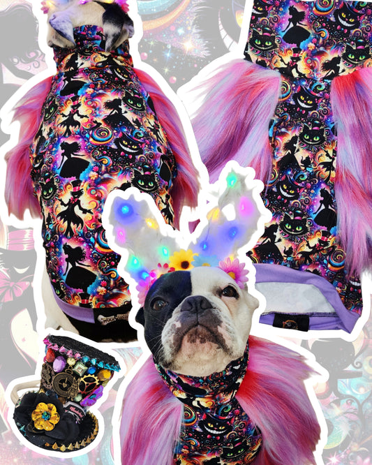 Wonderland Whimsy Top