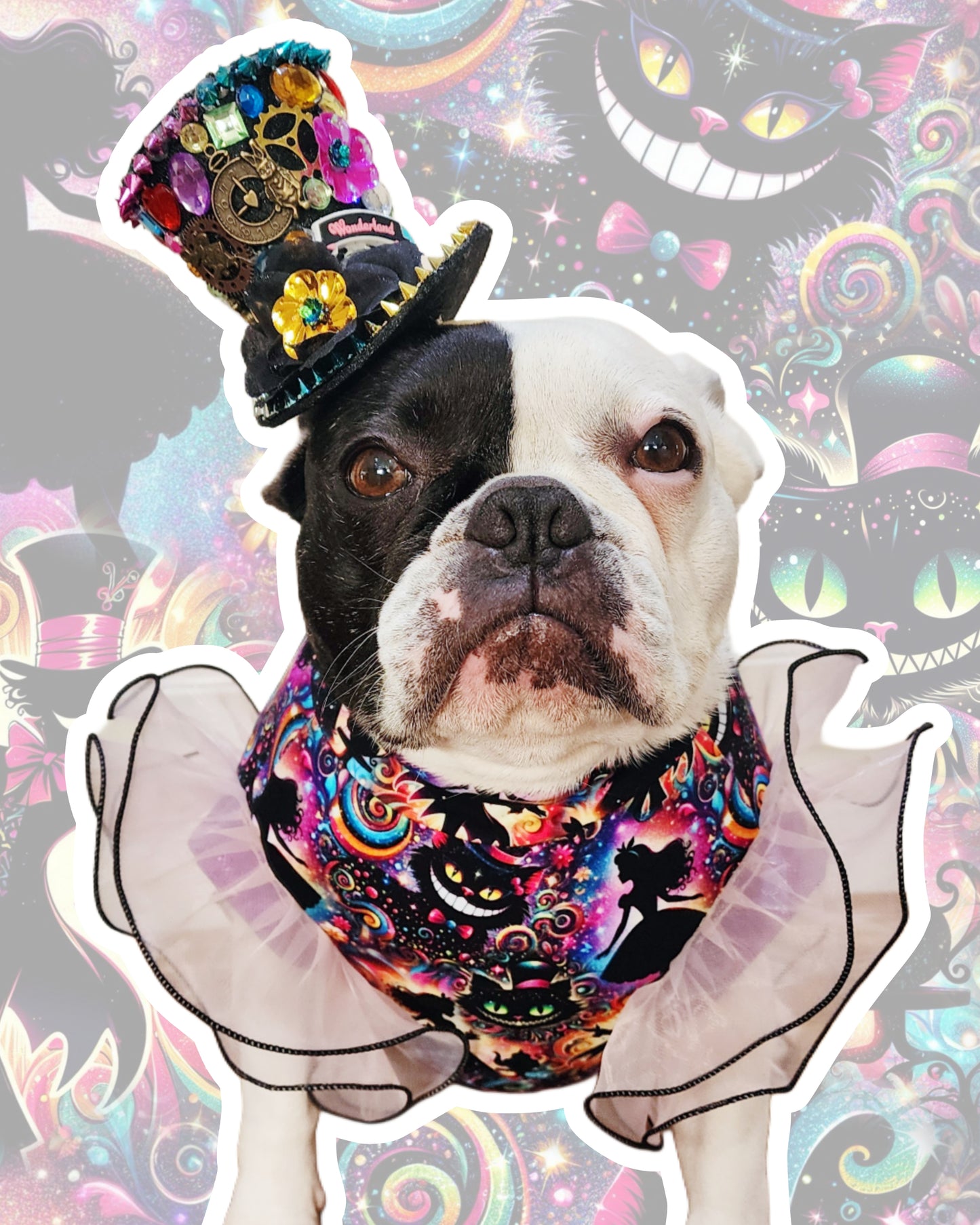 Wonderland Whimsy Top