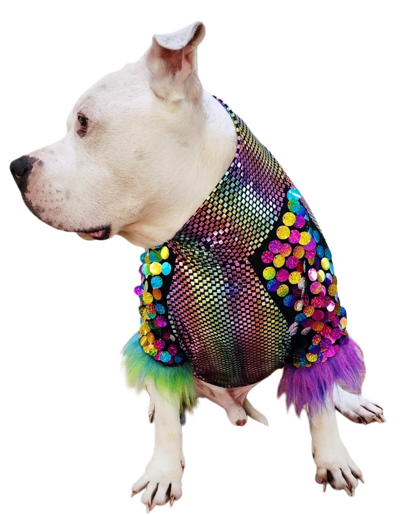 Rainbow Razzle Shirt