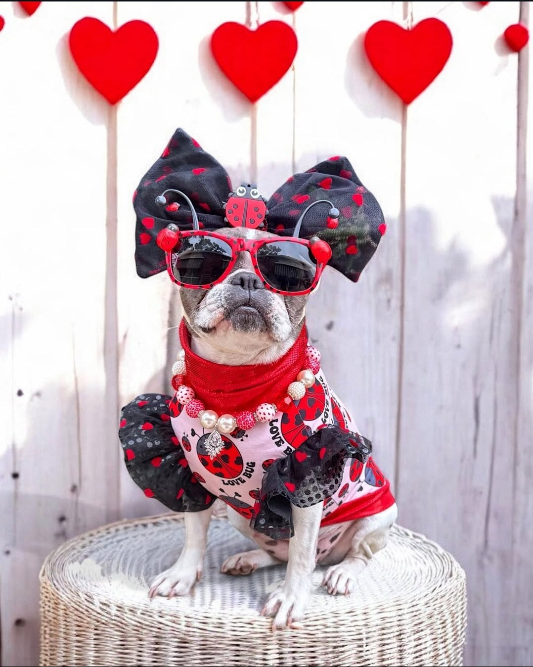 Love Bug Top