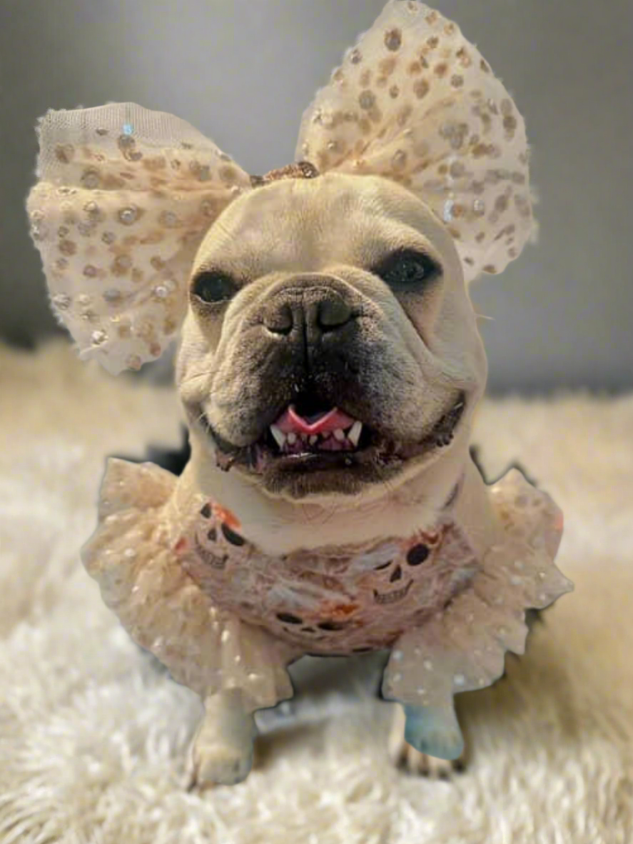 La Catrina Bow