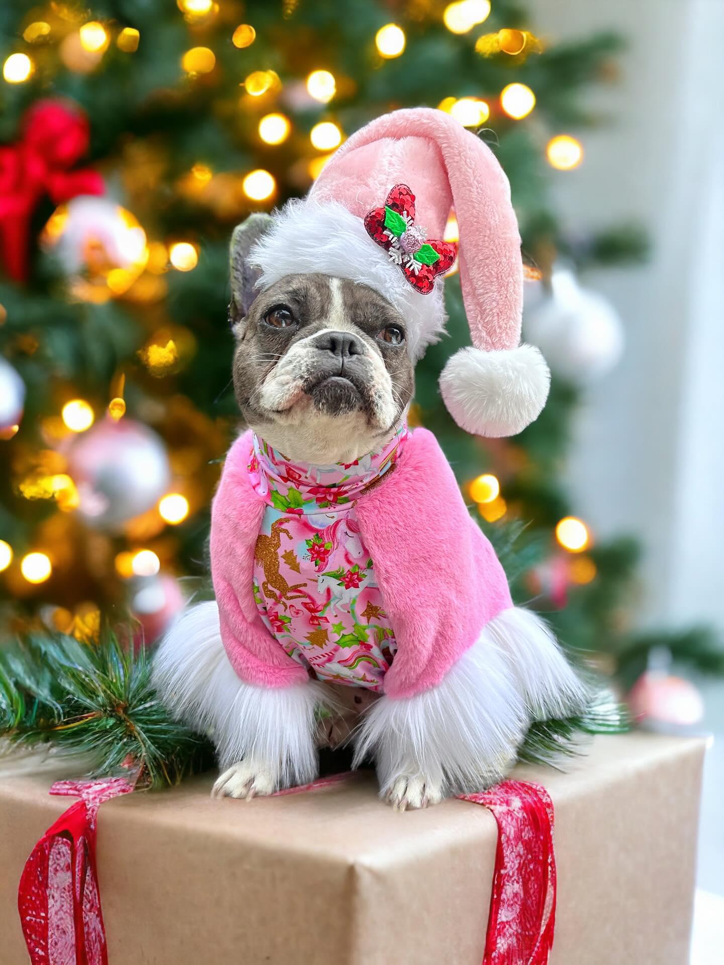 Pink-Mas Sweater