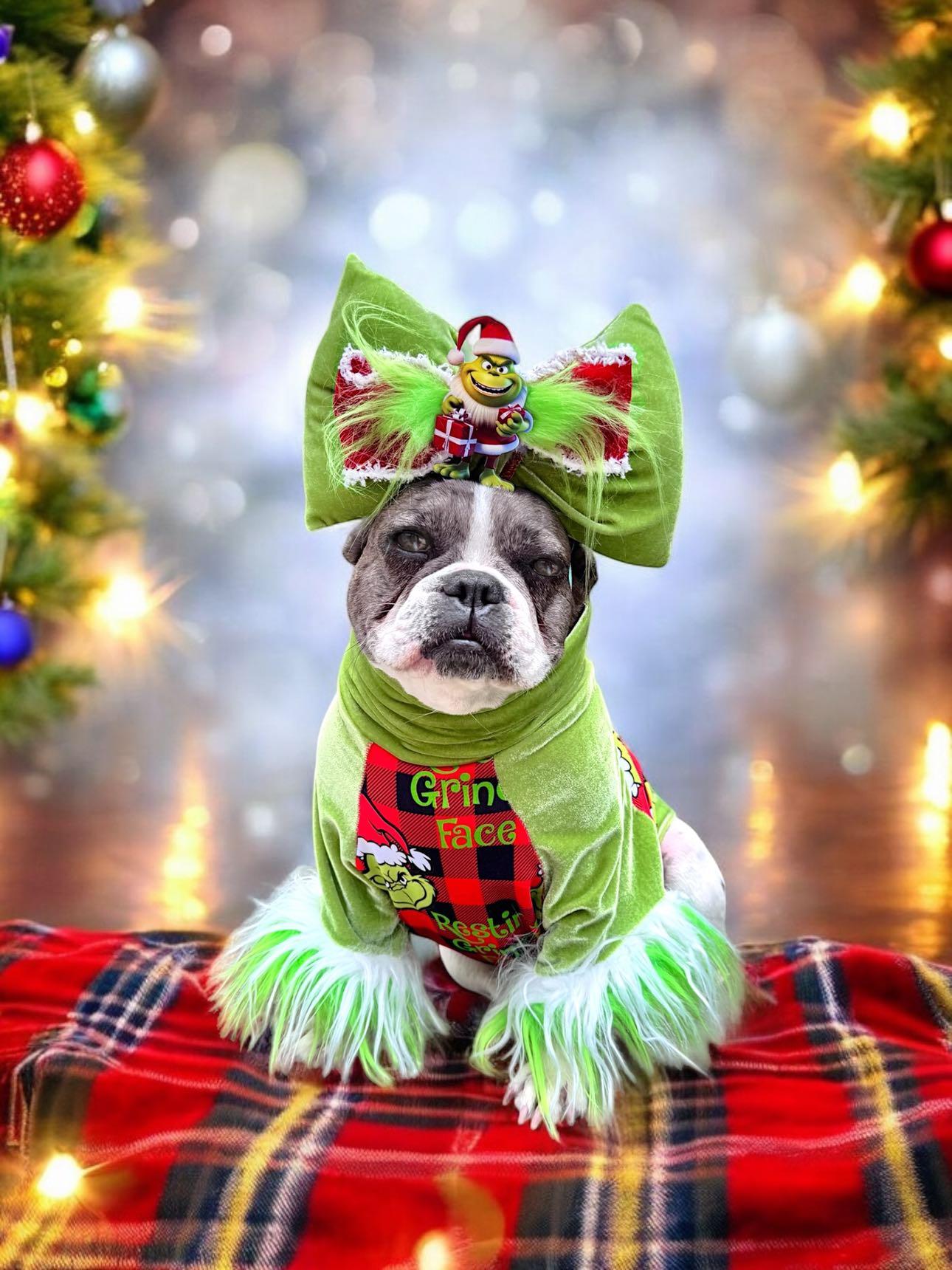 Resting Grinch Face