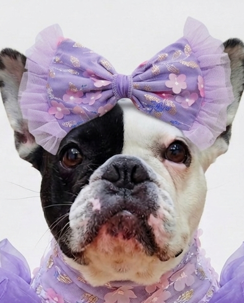 Wisteria Whimsy Bow