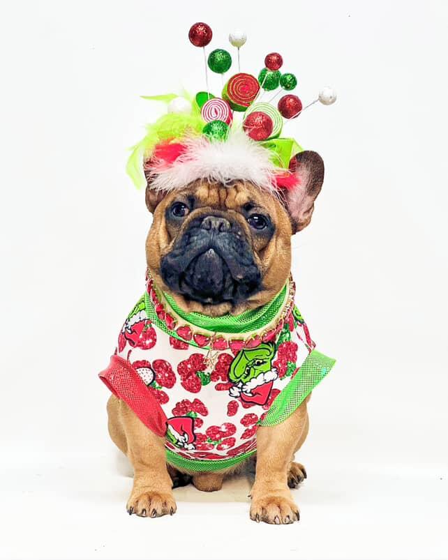 GLAM GRINCH TOP