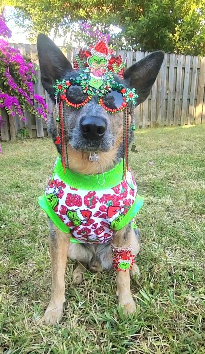 GLAM GRINCH TOP