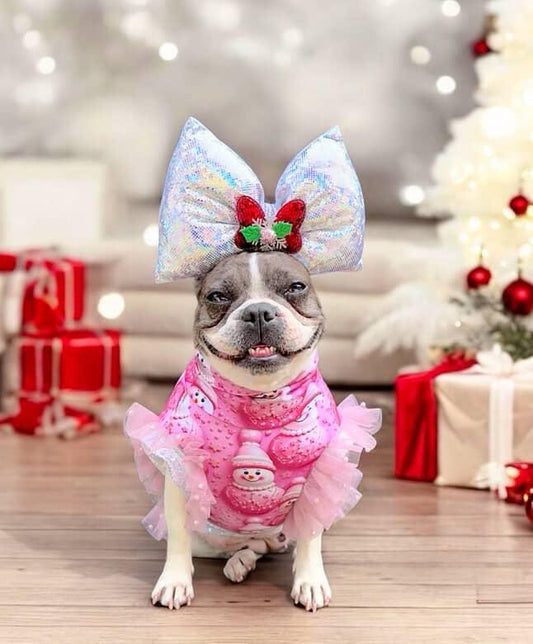 FROSTED PINK Dress/Top