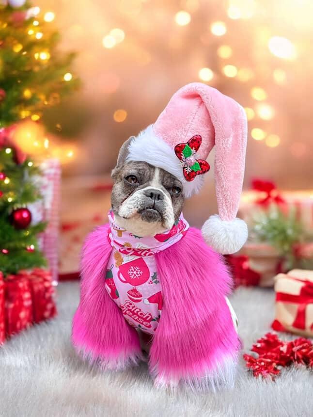 SASSY CHRISTMAS