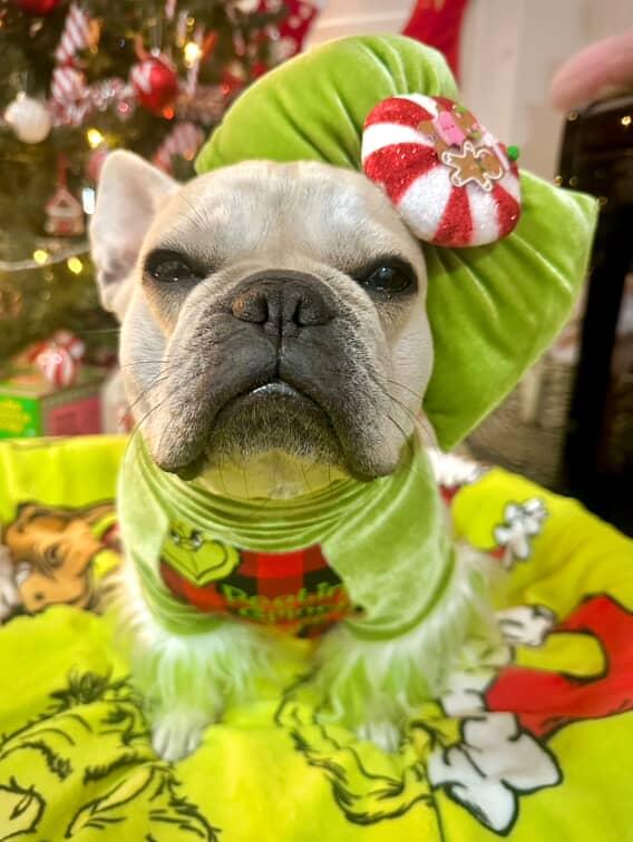 Resting Grinch Face