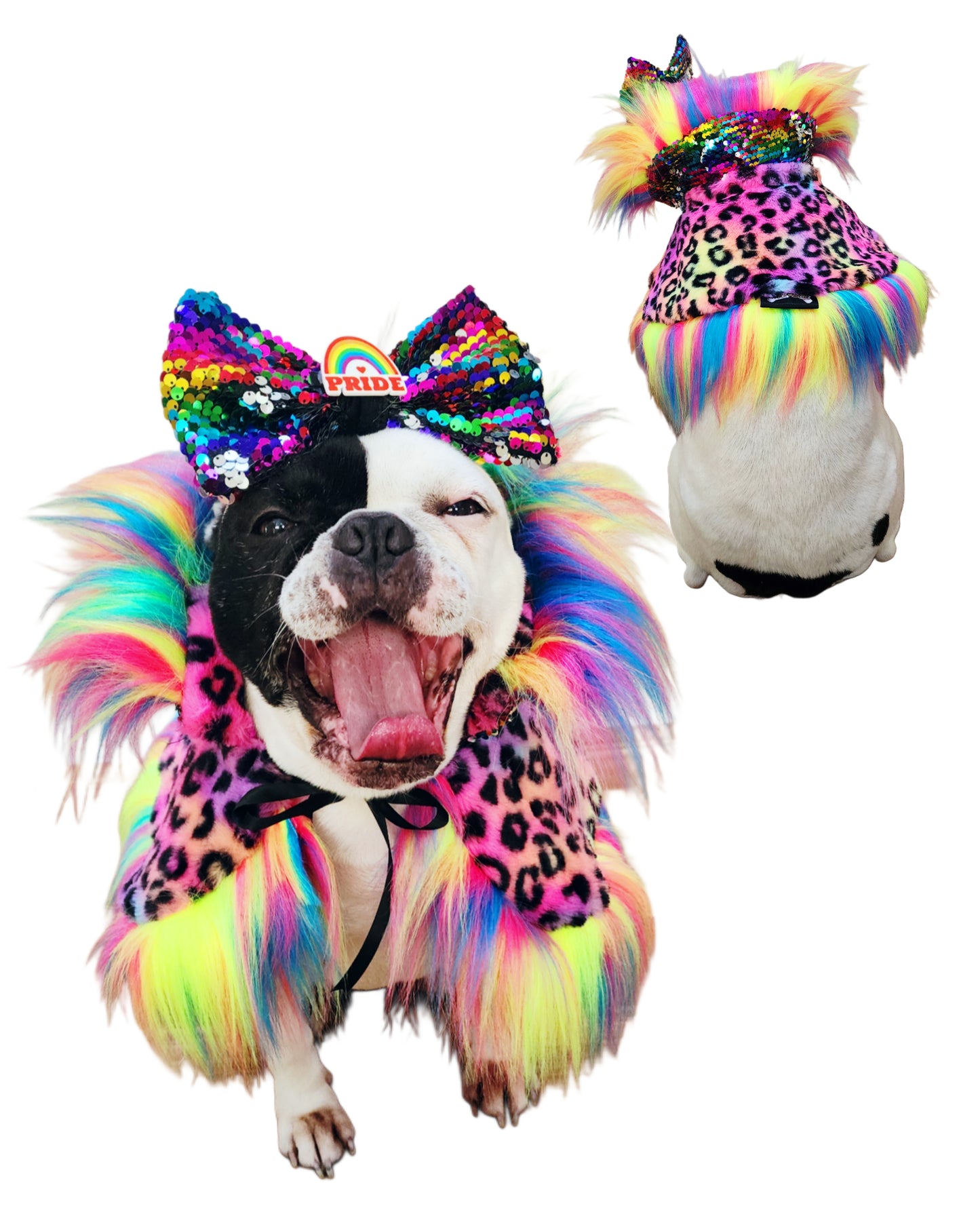 PRIDE ROAR & SHINE REVERSIBLE CAPELET