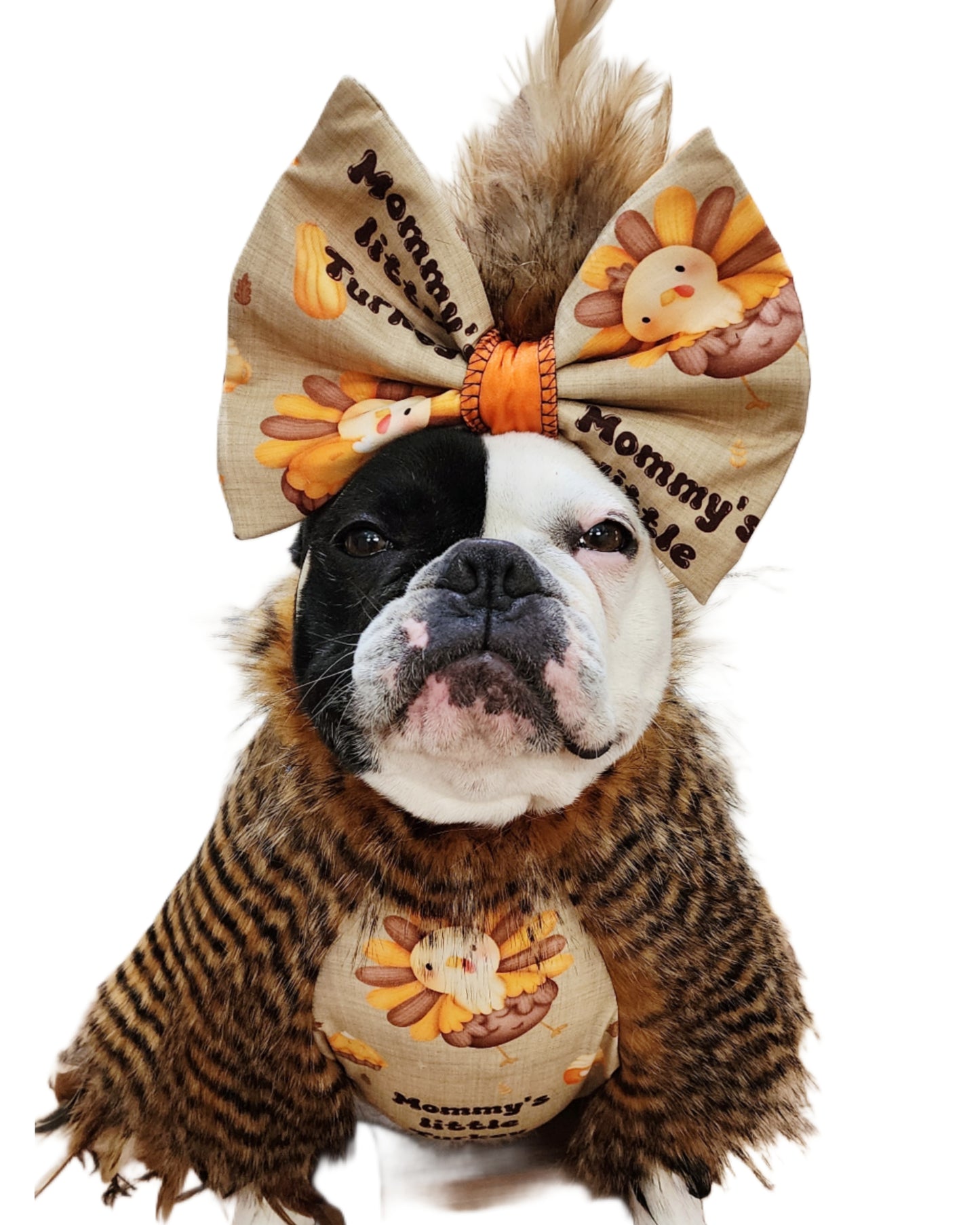 Mommy's Little Turkey Set (Large print)