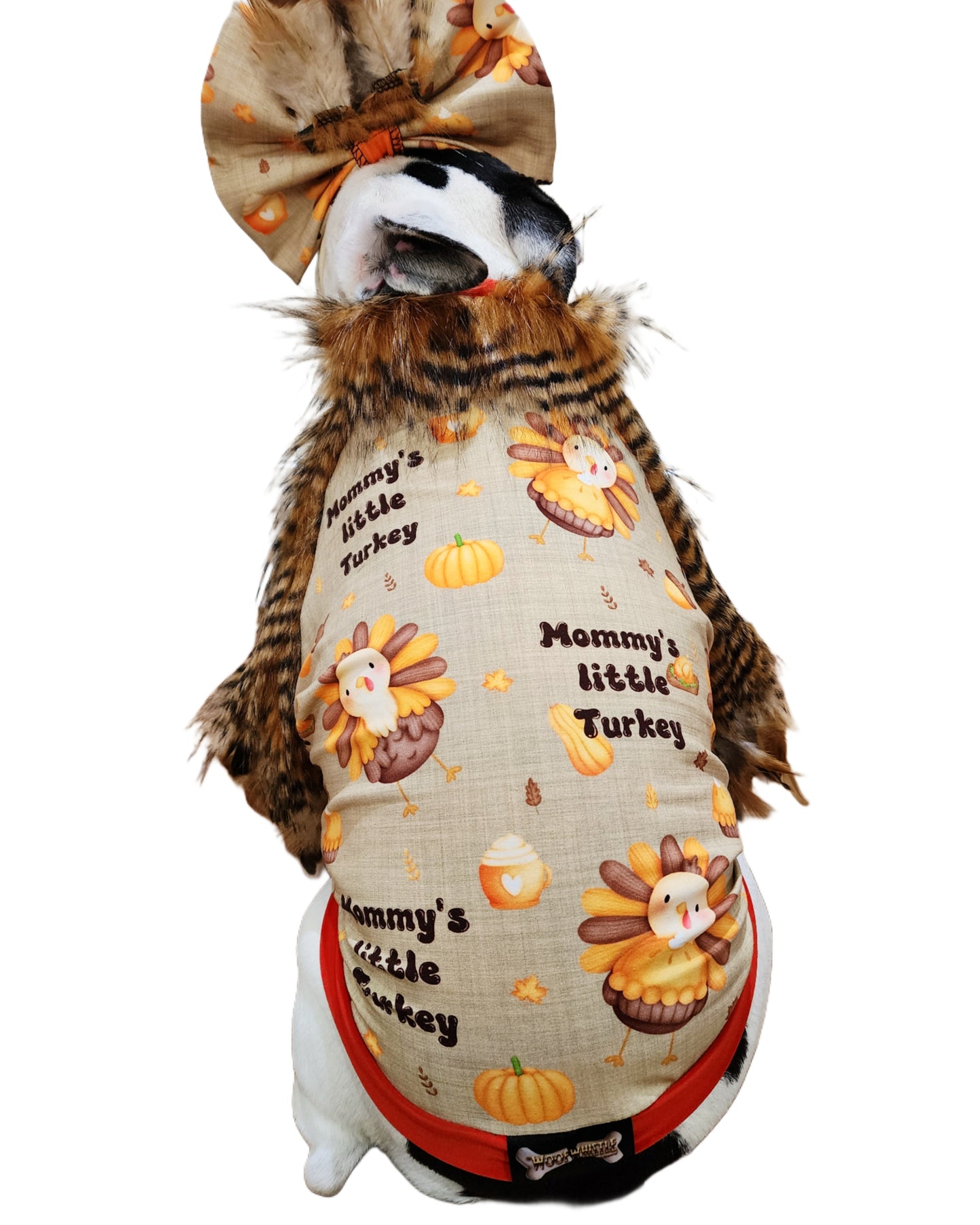 Mommy's Little Turkey Set (Large print)