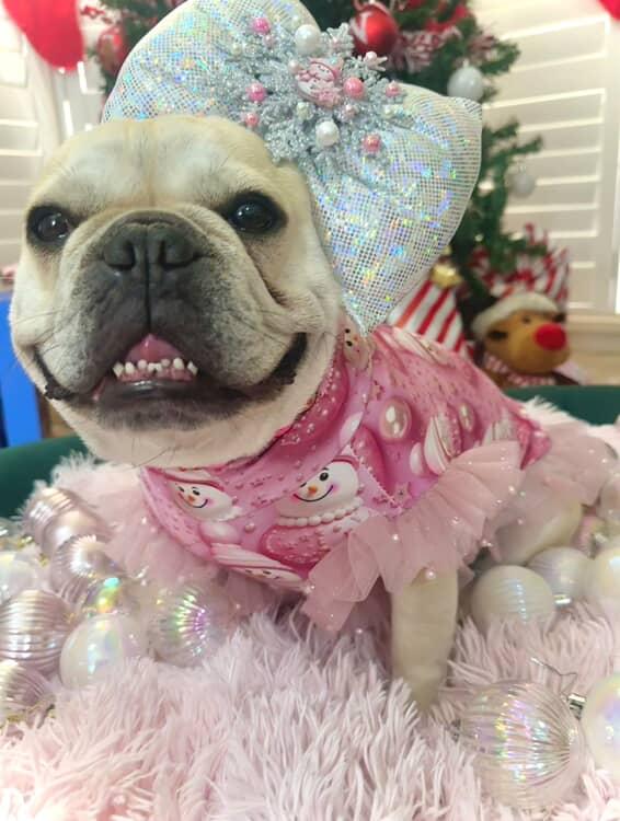 FROSTED PINK Dress/Top